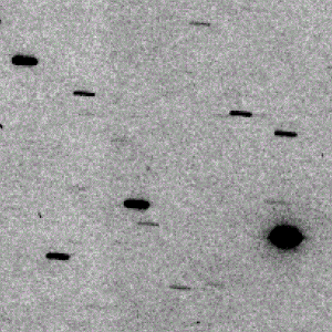 K20V04T.gif